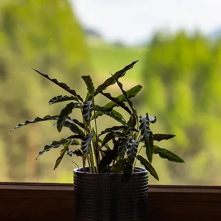 Bajkowy Widok Шале *