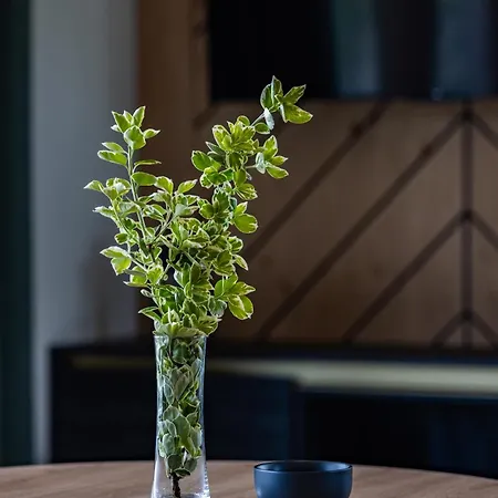 Bajkowy Widok * Maniowy